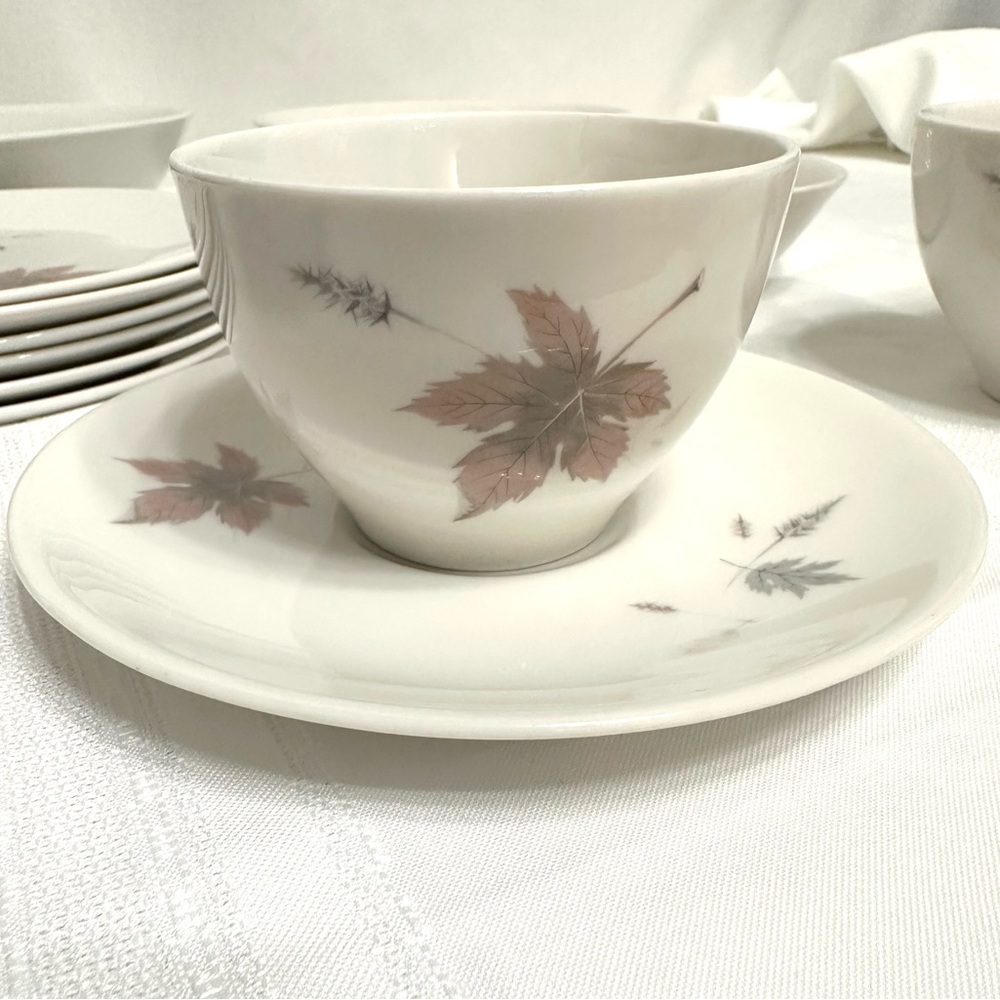 Royal Doulton “ Tumbling Leaves” dishes.